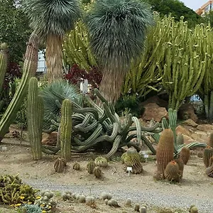 Appartamento Bonanza Benalmádena