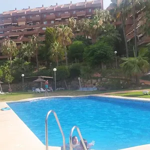 Palm *